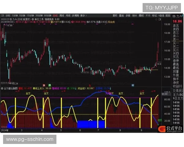 结合用户反馈优化pg游戏旗舰厅登录线路图的实用性与安全性措施